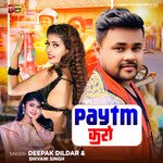 Paytm Karo artwork