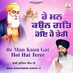 Re Man Kaun Gat Hoi Hai Teree