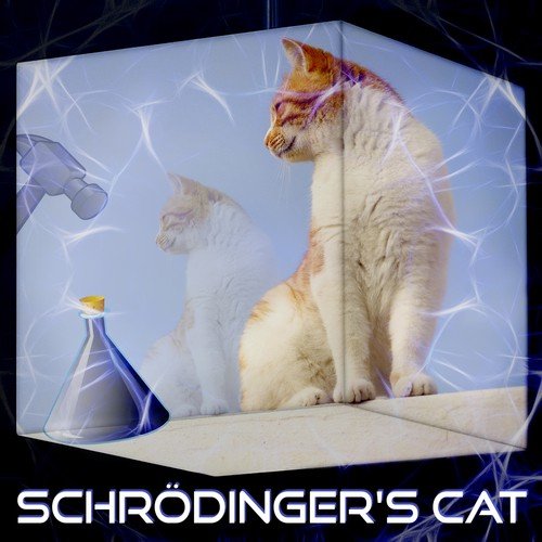 Schrödinger's Cat – Music for Easy Study, Stimulate Brain Activity, Focus on Learning, Study Skills, Improve Memory and Concentration, Brain Exercises, Science and Discovery, Creative Thinking