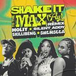 Shake It To The Max (FLY) [Remix]_poster_image