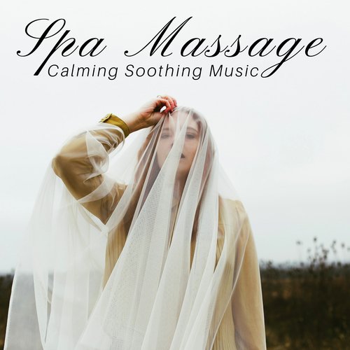 Spa Massage: Calming Soothing Music, Total Relaxation, Well Being & Sounds for Wellness Center