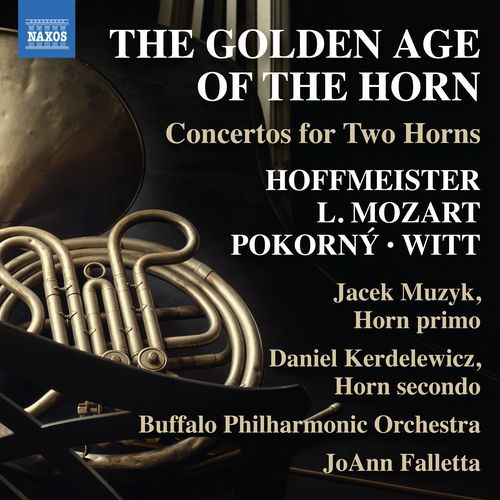 The Golden Age of the Horn: Concertos for 2 Horns_poster_image