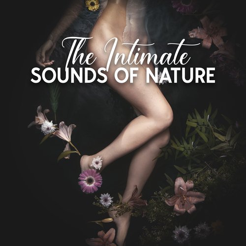 The Intimate Sounds Of Nature: The Light Touch Of Green Green Grass_poster_image