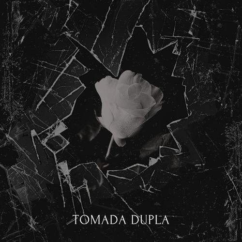 Tomada Dupla