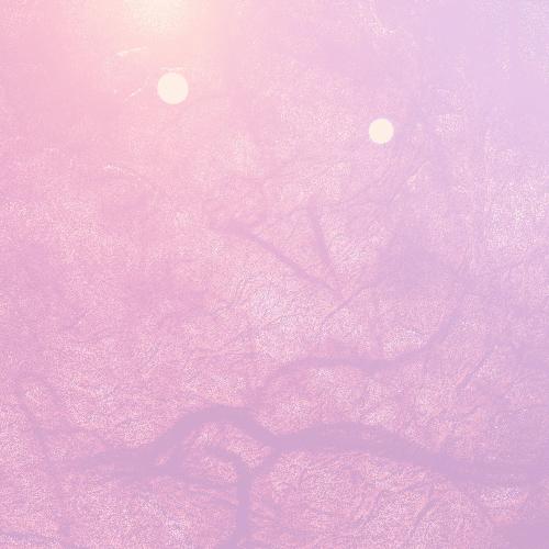 el espécimen cover art