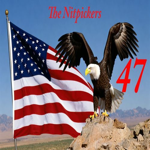 47 (Hey Mullah Man) cover art