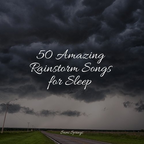 50 Amazing Rainstorm Songs for Sleep_poster_image