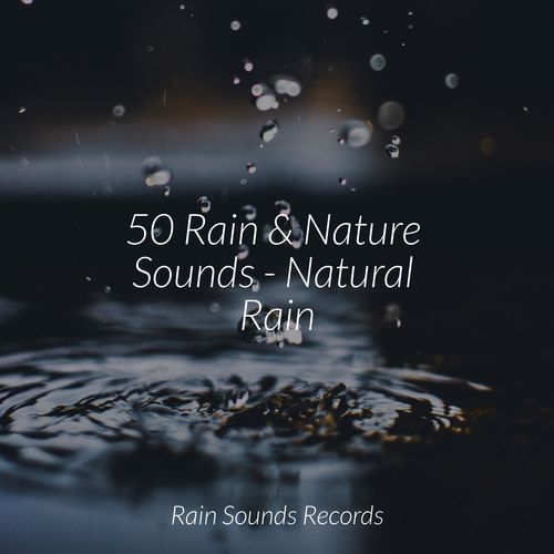 50 Rain & Nature Sounds - Natural Rain