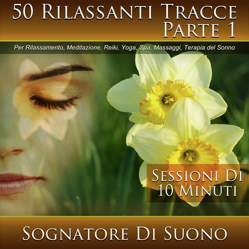 Uccelli Di Foresta - Sessione Di 10 Minuti cover art