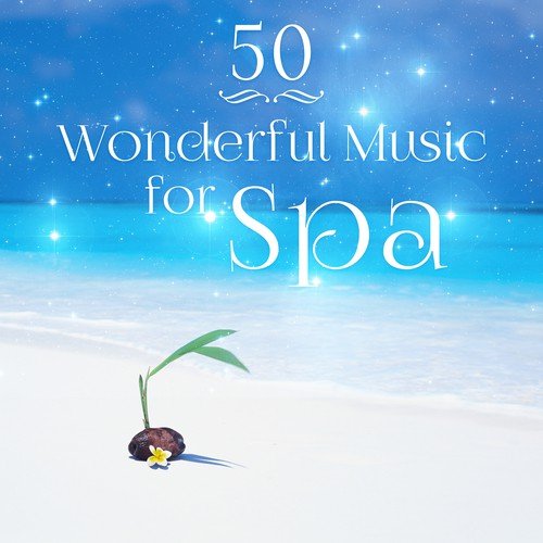 Bansuri Flute Meditation cover art