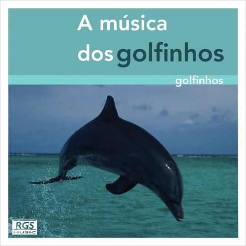 A Música Dos Golfinhos