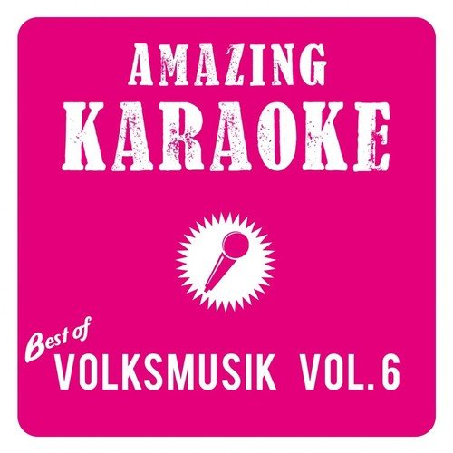 Best of Volksmusik, Vol. 6 (Karaoke Version)