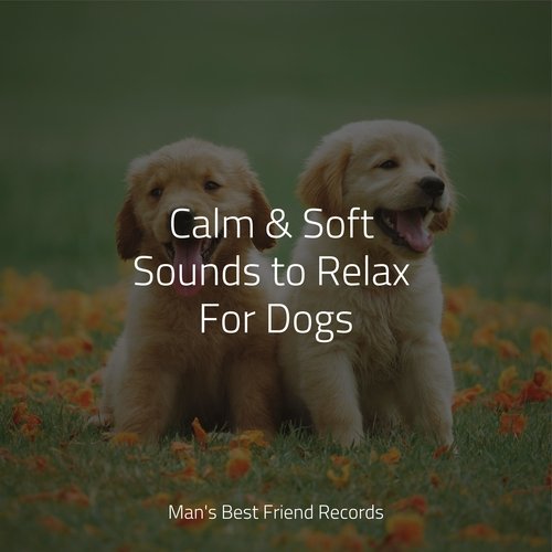 Music for Stress Relief