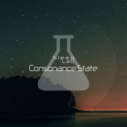 Consonance State_poster_image