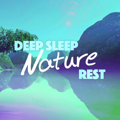 Brook Bird Song cover art