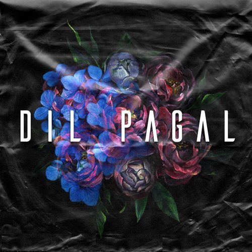 Dil Pagal (Instrumental)