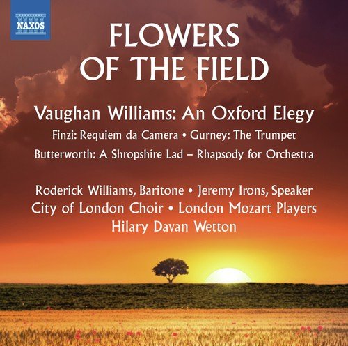 Flowers of the Field_poster_image