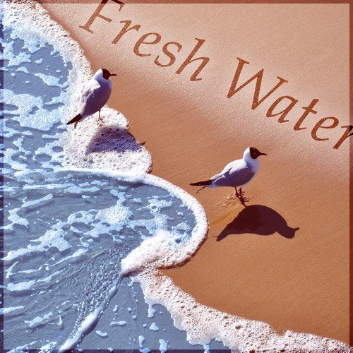 Lakeshore cover art