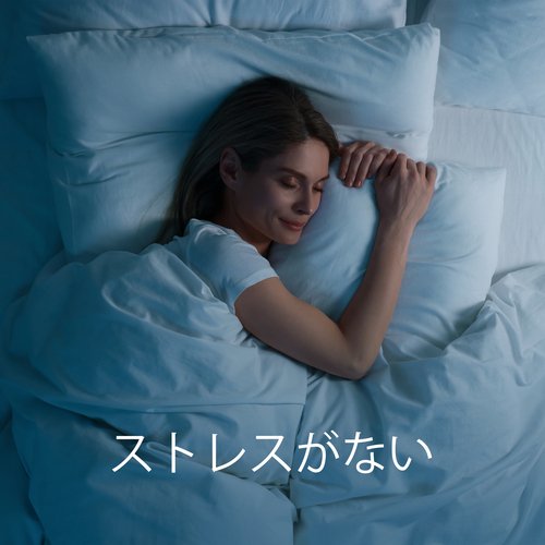 新しい夜明け cover art