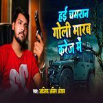 Hai chamran goli marab karej me