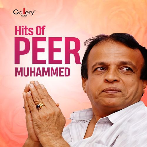 Hits of Peer Muhammed