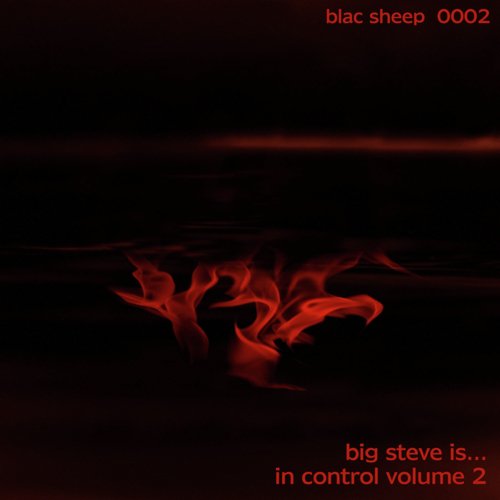 In Control, Vol. 2