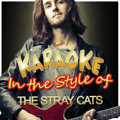 Karaoke - In the Style of the Stray Cats