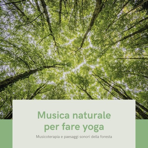 Musica terapeutica naturale cover art