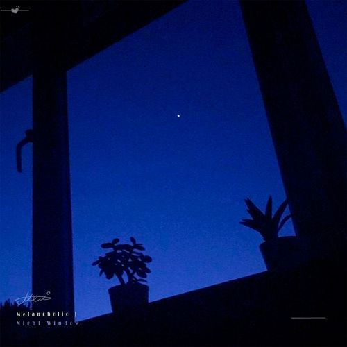 Night Window (Slowed)