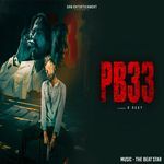 PB33