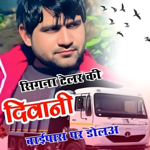 सिंगना टेलर की दीवानी बाई पास पर डोलअ