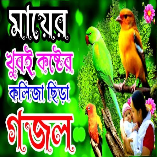 Pac Talate Ghomau Tumi Mayer Naire Thakar Gor