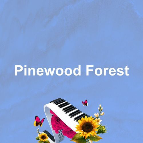 Choir Dream cover art