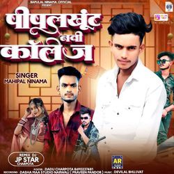 Pipalkhunt Navu College