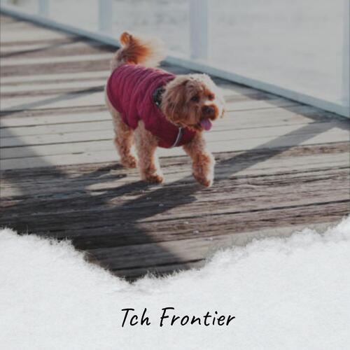 Tch Frontier cover art
