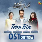 Tere Bin (Hum Kahan Ke Sachay Thy OST)