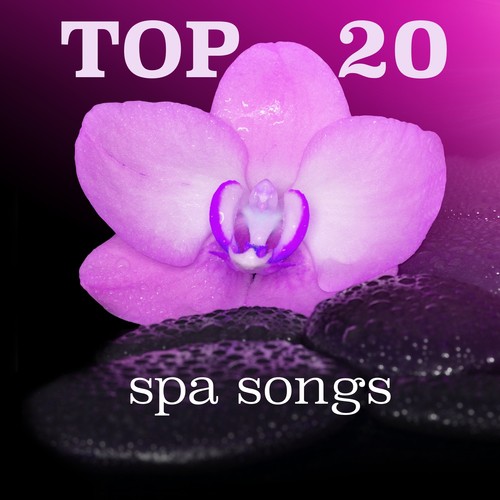 Top 20 Spa Songs: Sleeping Music, Meditation Tunes, Massage Music, Healing and Soothing_poster_image