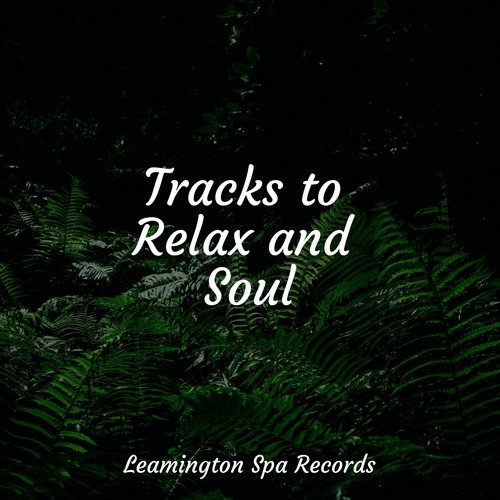 Tracks to Relax and Soul
