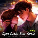 Tujhe Dekhe Bina Chain (LoFi)