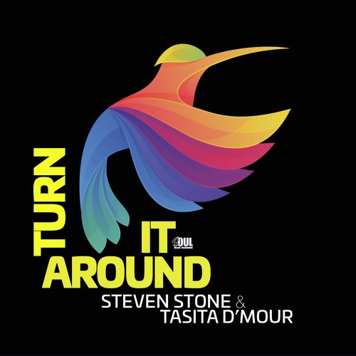 Turn It Around (Radio Mix)_poster_image