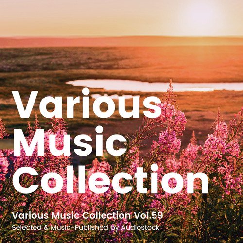 Various Music Collection Vol.59 -Selected & Music-Published by Audiostock-