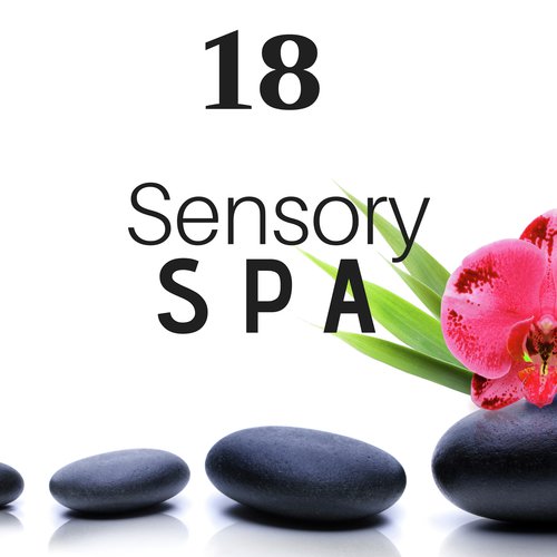 18 Sensory Spa - Relax to the Sound of Jazz Music for Wellness Centers & Spa, Ambient Music, Chillout Mix and More