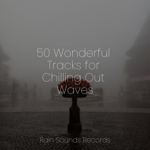 50 Wonderful Tracks for Chilling Out Waves