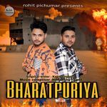 Bharatpuriya