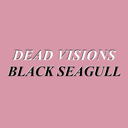 Black Seagull cover art
