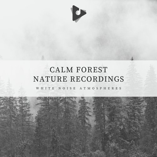 Calm Forest Nature Recordings