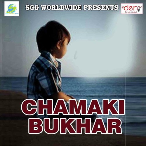 Chamaki Bukhar_poster_image