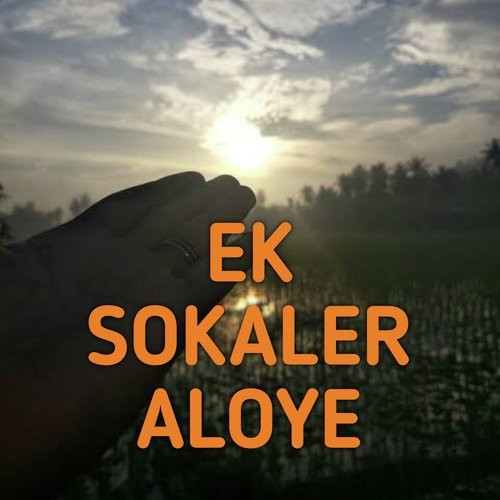 EK SOKALER ALOYE