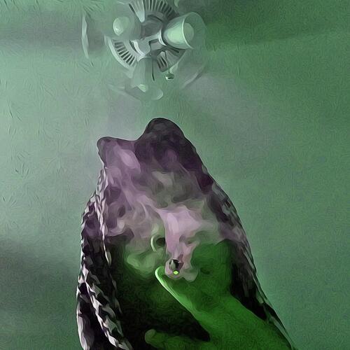 HighClass cover art