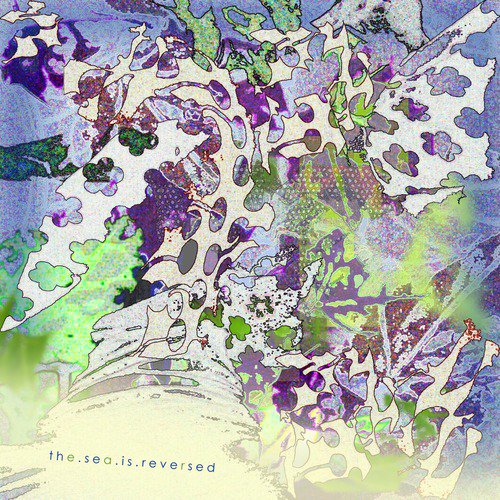 House of Representatives cover art